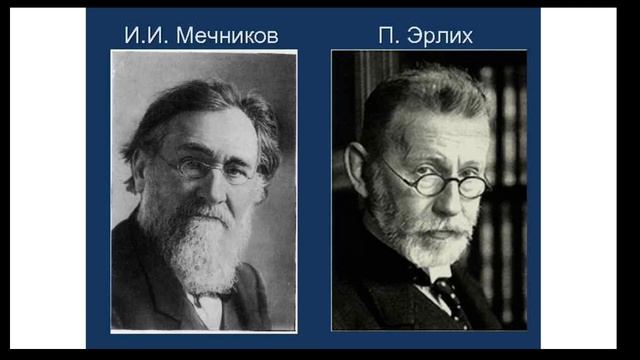Лимфатическая и иммунная системы (часть 15) | Видеокурс Андрея Антонова "Основы физиологии человека смотреть онлайн