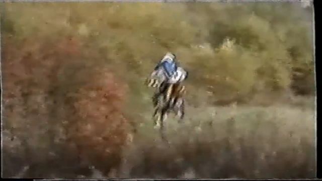 AF VHS//Тренька на сузуки - 250 (2). смотреть онлайн