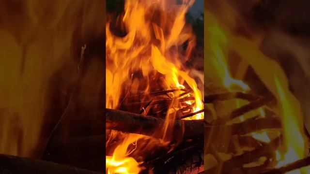 1000011836.mp4 смотреть онлайн