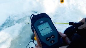 Как работает эхолот для рыбалки Lucky FL068? Тест зимой