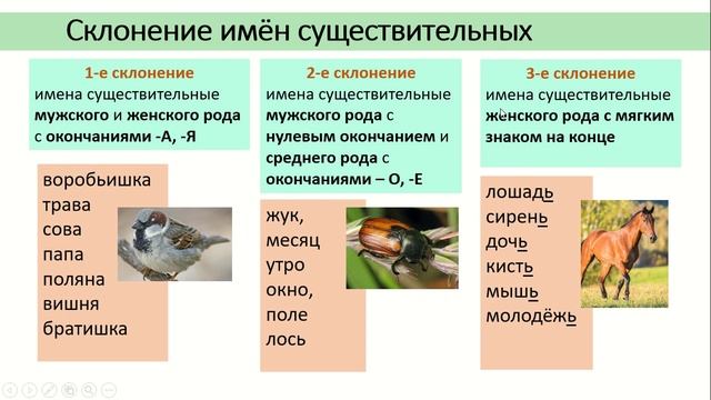 3 класс 21 урок Склонение имён существительных 18 05 20 Мультимедиа1 смотреть онлайн