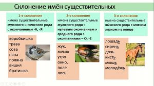 3 класс 21 урок Склонение имён существительных 18 05 20 Мультимедиа1