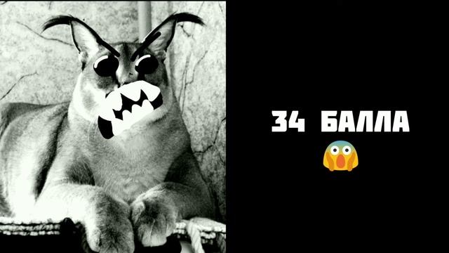 Сколько баллов ты набрал по ЕГЭ: смотреть онлайн