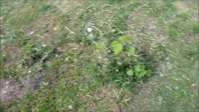 мой двор 11 июня 2017 смотреть онлайн