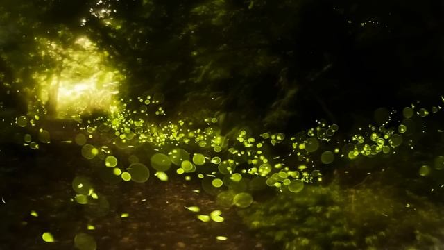 Guided Sleep Meditation FOREST RELAX By Jason Stephenson смотреть онлайн