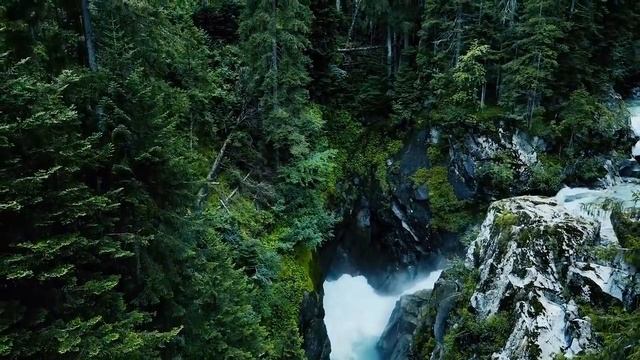 ЗНАКИ ЗОДИАКА, КОТОРЫЕ ЛЮБЯТ ОДИНОЧЕСТВО [топ-5] смотреть онлайн