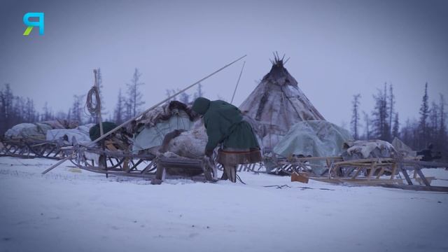 Секрет долголетия: как укрепить иммунитет в 21 веке. Опыт северян смотреть онлайн