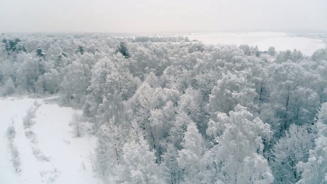 Сказочная зимняя природа в Подмосковье. Winter смотреть онлайн