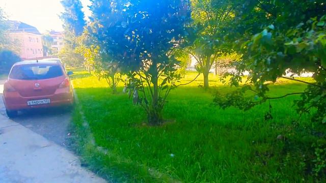 Кудепста Сочи прогулка по району улица Дарвина, обстановка настроение погода +25, 26 сентября 2022 смотреть онлайн