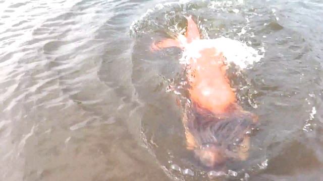 На реке заметили русалку!!! Mermaid was spotted in the river смотреть онлайн