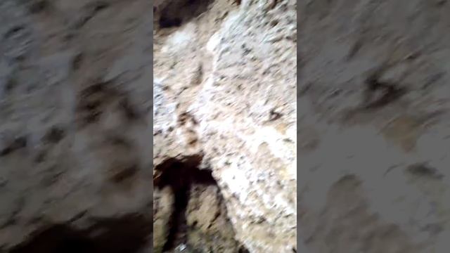 Villa Gregoriana 2 смотреть онлайн