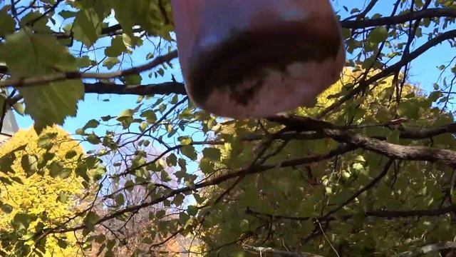Осенние кормушки для птиц смотреть онлайн