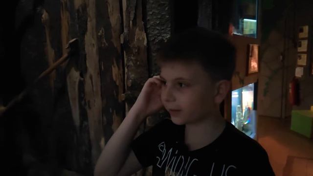 Обзор фильмов про животных. Дети о кино. Что посмотреть на каникулах смотреть онлайн