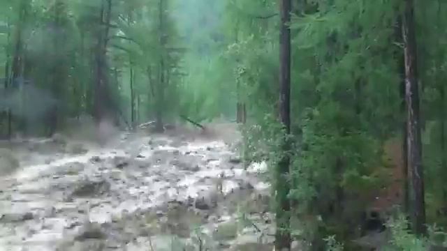 польза или вред смотреть онлайн