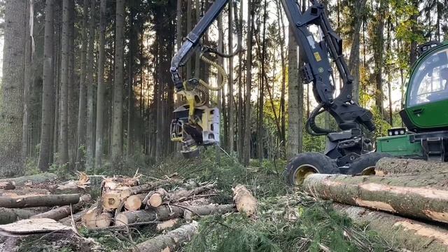 ЕЛОВЫЙ Рай,Лес как с картинки, не часто такой дают пилить .. смотреть онлайн