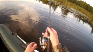 Осваиваю новую приманку. КВОКЕР ПРОПБЕЙТ. #104