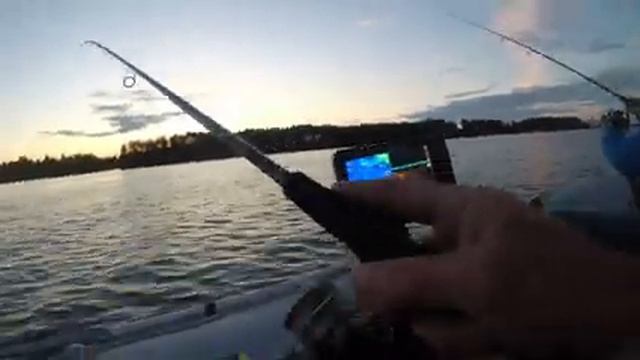 Челендж,кто не поймает рыбу, ест самую дешёвую тушёнку= ) смотреть онлайн