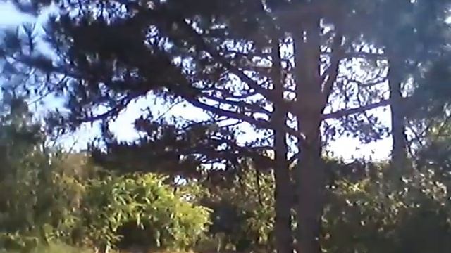 Морской стиль жизни - ЖК "Белый парус" смотреть онлайн