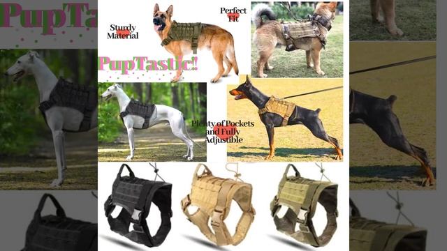 PupTastic's Police & Military Adjustable K-9 Tactical Training Harness смотреть онлайн