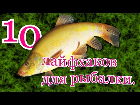 10 ЛАЙФХАКОВ ДЛЯ РЫБАЛКИ. смотреть онлайн