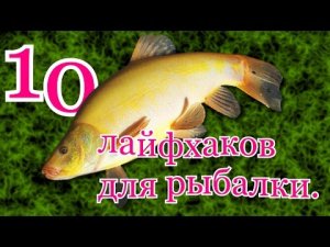 10 ЛАЙФХАКОВ ДЛЯ РЫБАЛКИ.