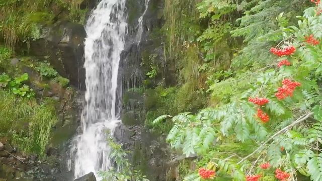 Плохие воспоминания: как отвлечься? Беседа с психологом. Медитация. смотреть онлайн