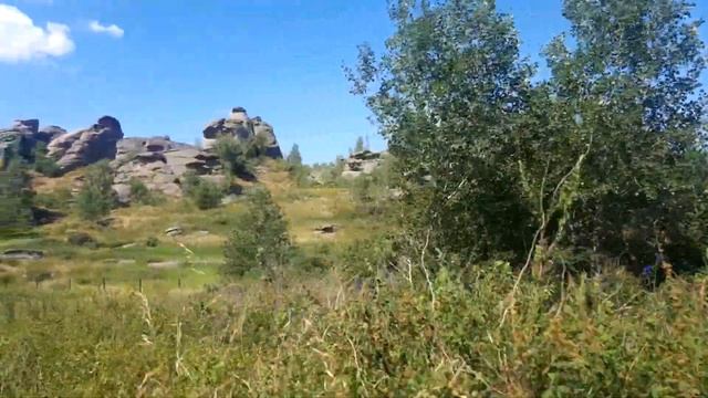 КОЛЫВАНСКОЕ ОЗЕРО ( САВВУШКИ ) АЛТАЙСКИЙ КРАЙ .09.07.2019 смотреть онлайн