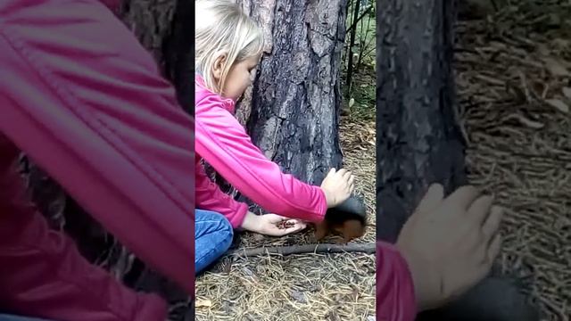 Доча гладит белку) смотреть онлайн