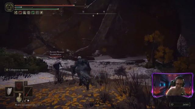 Прохождение игры Elden Ring Seamless Coop часть 16 смотреть онлайн