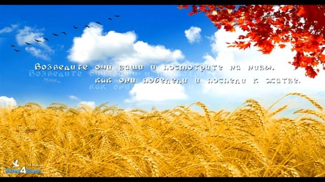 песня Праздник жатвы день благодарения смотреть онлайн