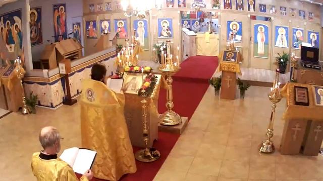St Luke The Blessed Surgeon Russian Orthodox Church Live Stream. Archpriest Vasily Zelenyuk. смотреть онлайн