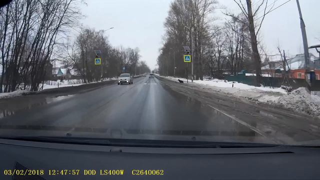 Почему животные умнее людей смотреть онлайн