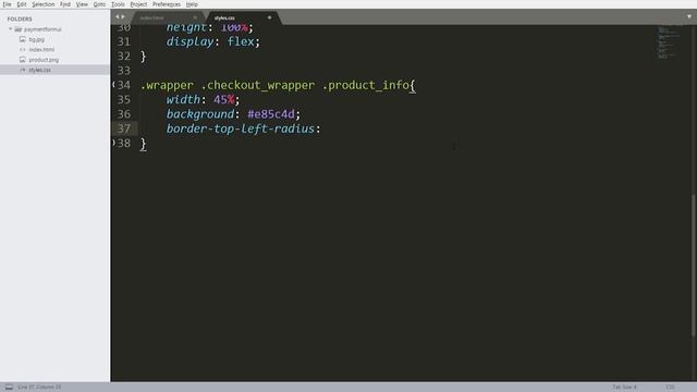Payment Checkout Form Using HTML and CSS смотреть онлайн