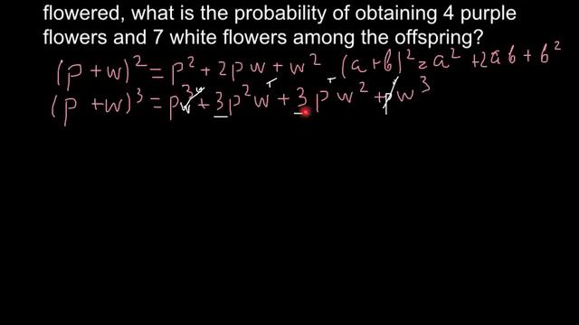 How to solve genetics problems using Binominal Expansion Formula смотреть онлайн