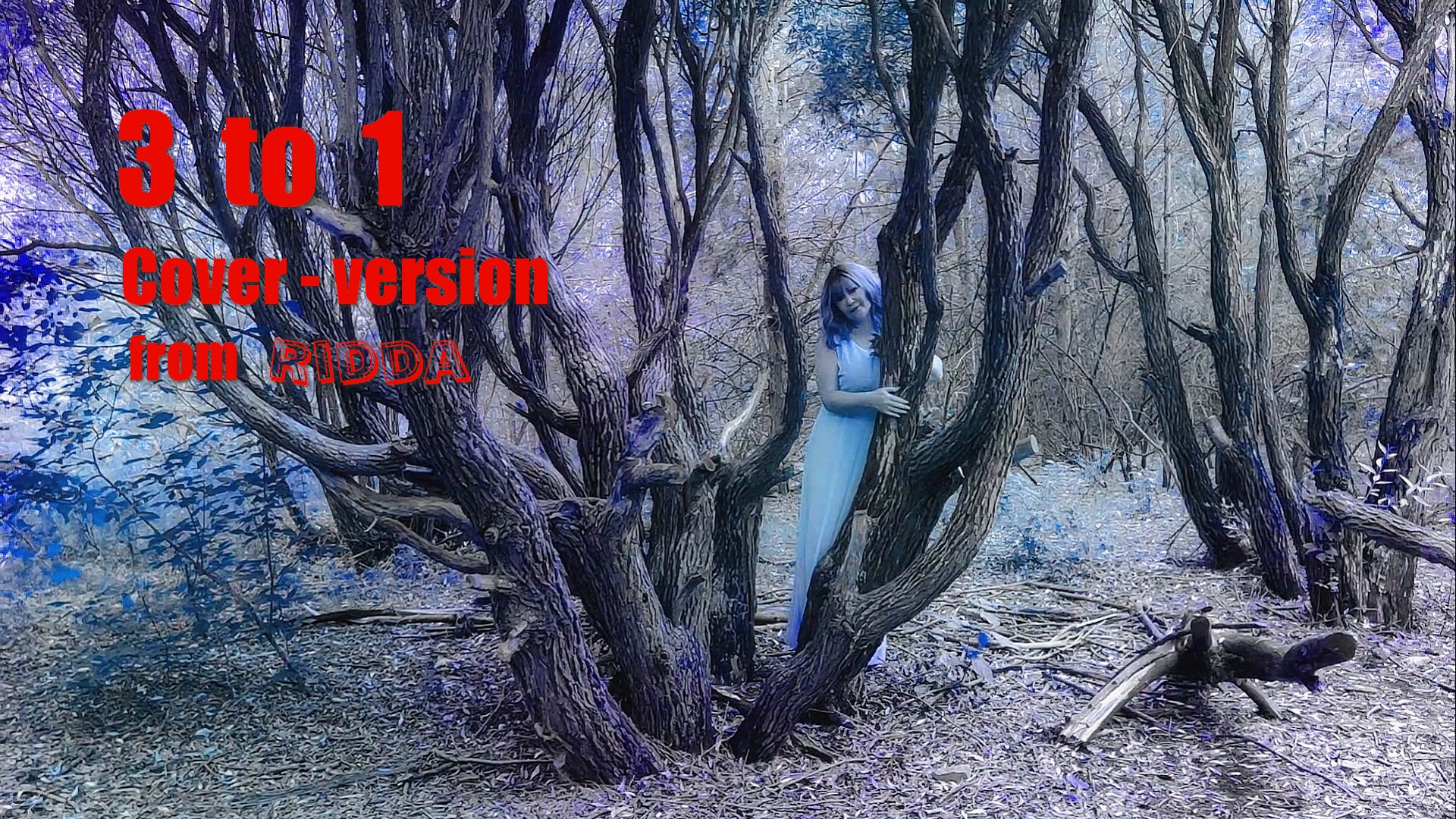 Ridda - 3 To 1 (cover)