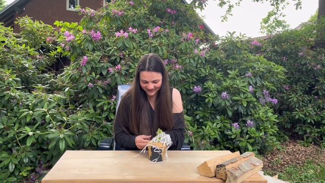 Monstera mint variegate. Купила монстерy мінт, м'ятна на день народження. Geburtstag 🎁🥳birthday смотреть онлайн