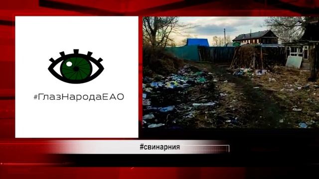 ГлазНародаЕАО: свиньи чистоплотнее и несовершеннолетнее употребление смотреть онлайн