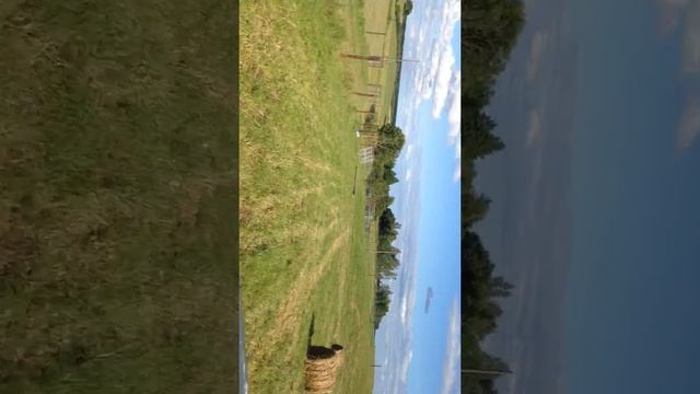 Едем на БМЕ кормить оленей смотреть онлайн