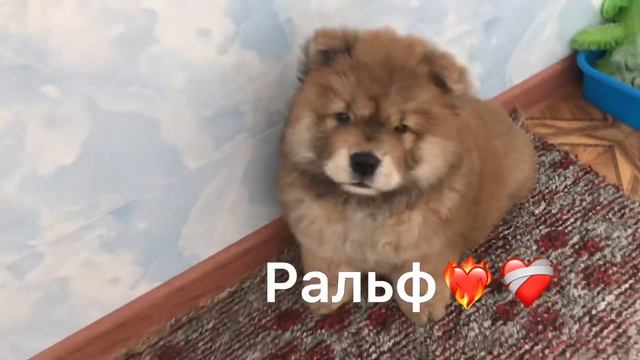 Ральф и игрушки смотреть онлайн