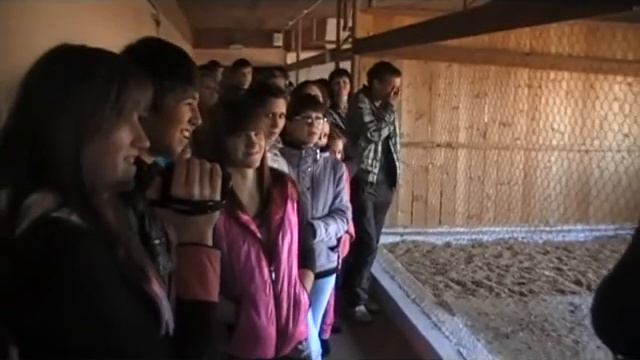 Экскурсия в Горячий Ключ смотреть онлайн