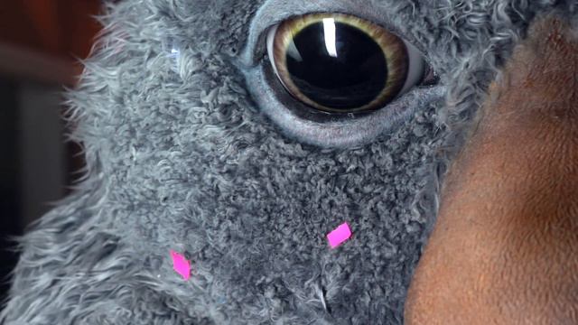 The Making of Moz The Monster | John Lewis смотреть онлайн