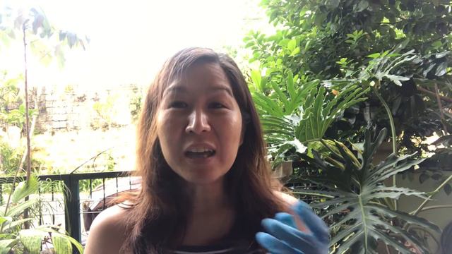 LIFE LATELY | GROWING FRUIT BEARING TREES | SEED PLANTING | STORY TELLING | WINDOW OF HAPPINESS 🇵🇭 смотреть онлайн