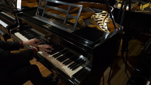 Blüthner Style 4A Grand Piano - Demonstrated by Sherwood Phoenix смотреть онлайн