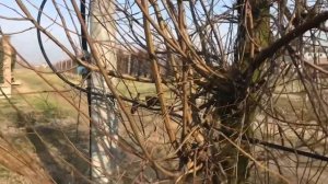 ОПЫЛИТЕЛИ ДЛЯ СЛИВ ???