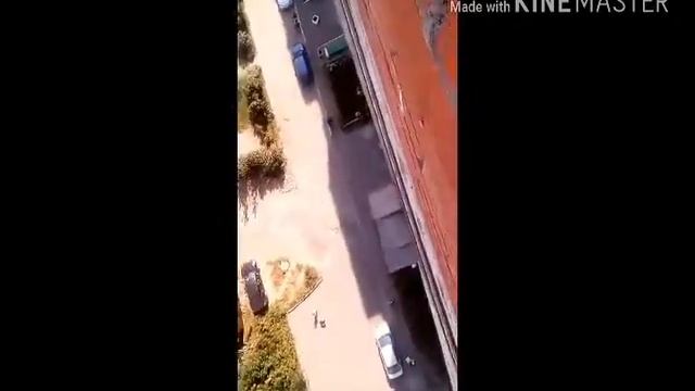 Скинули спиннер с 14 этажа смотреть онлайн