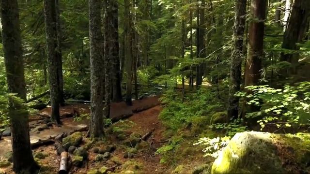 Гарри Поттер и Философский камень. смотреть онлайн