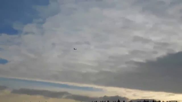 Цессна150 первый полет и посадка на дерево смотреть онлайн