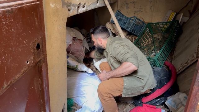 One in a million cat rescue! She was stuck for 2 days while her kittens cried! смотреть онлайн