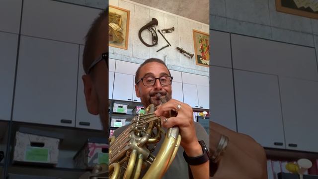Cadenza Mozart 4 horn concerto смотреть онлайн