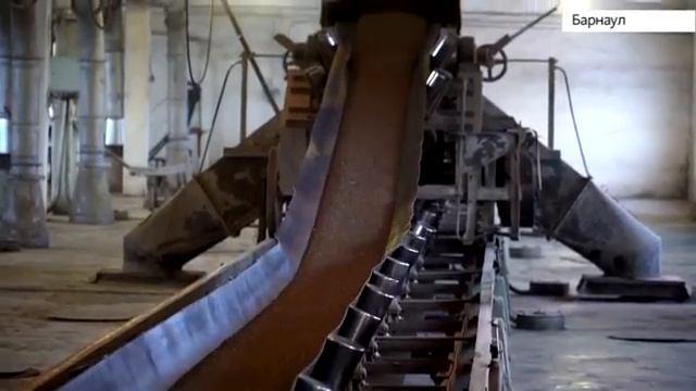 «Барнаульский элеватор» стал передовым предприятием агропромышленного комплекса Алтайского края смотреть онлайн